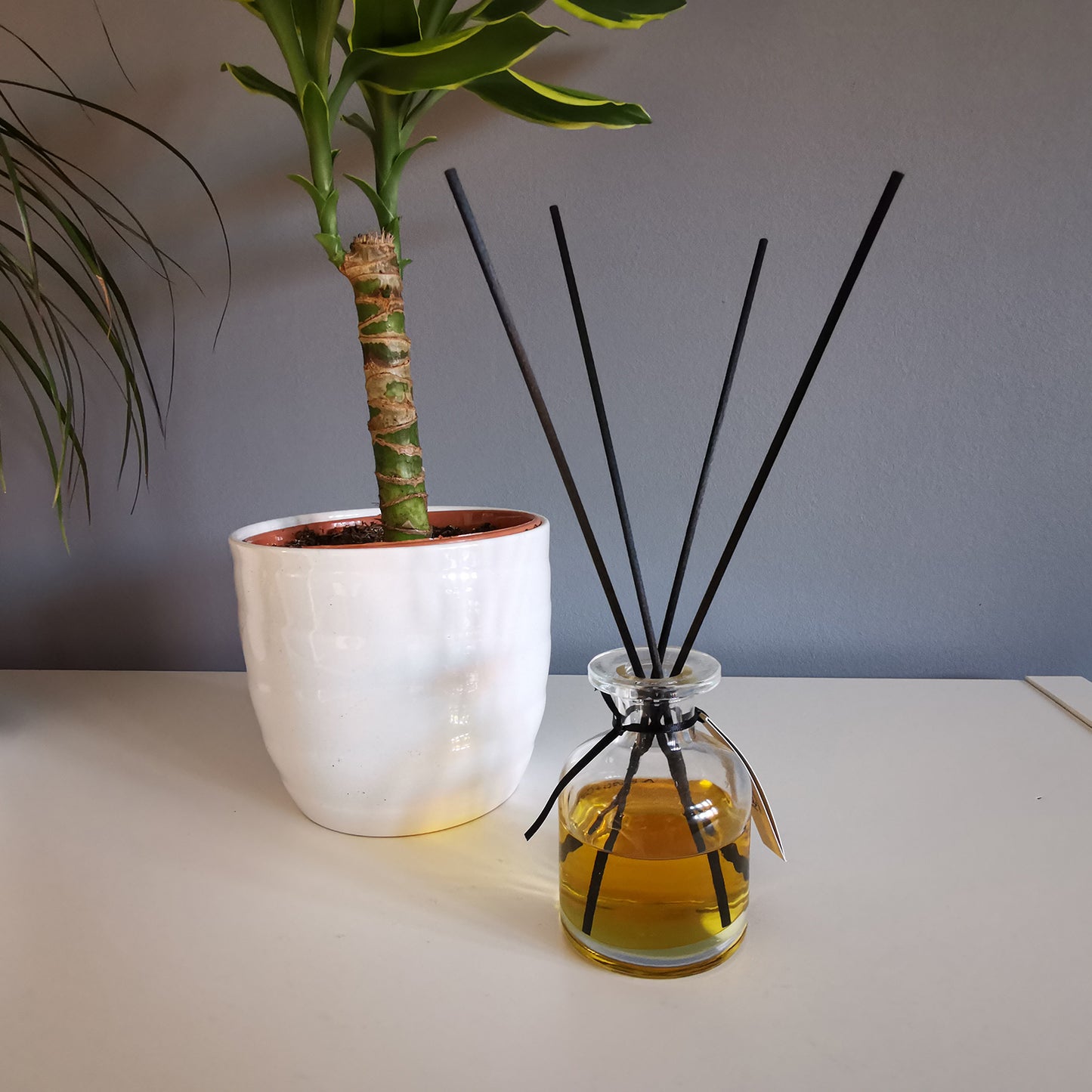250x Fibre Black Reed Diffuser Sticks